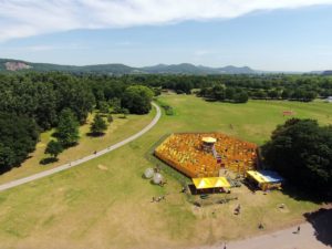 Labyrinth in der Rheinaue